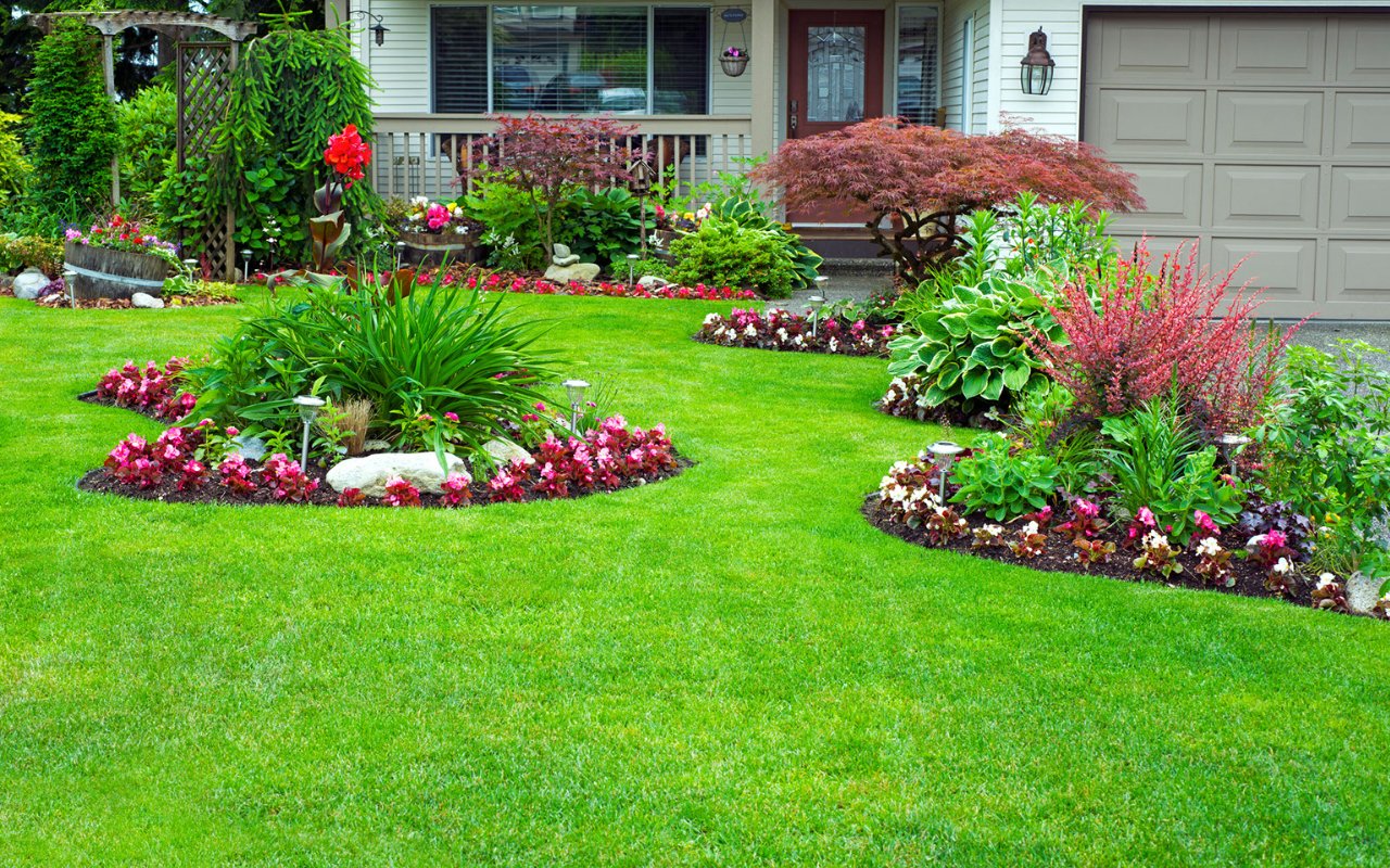 yard with plants and a beautifull green grass - professional landscaping utah