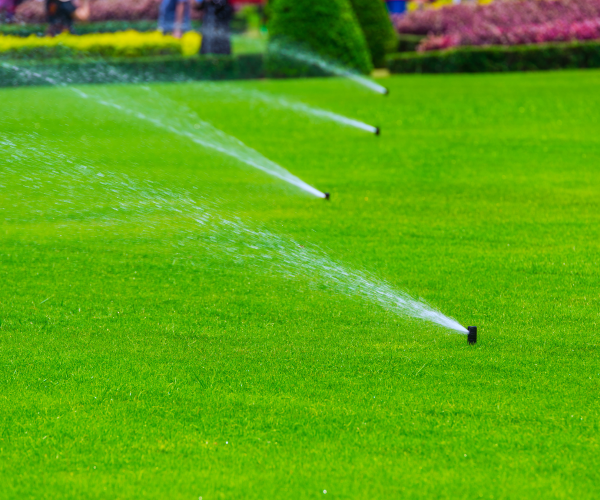 Sprinkler System in backyard-professional landscaping - landscape service